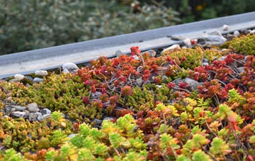 the cost of Hey green roof installation