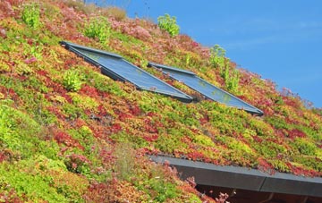 Hey living roof systems