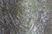 Hey fibreglass roof work